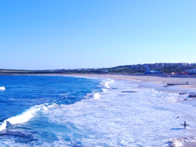 A Surf and Breakfast at Maroubra Beach?