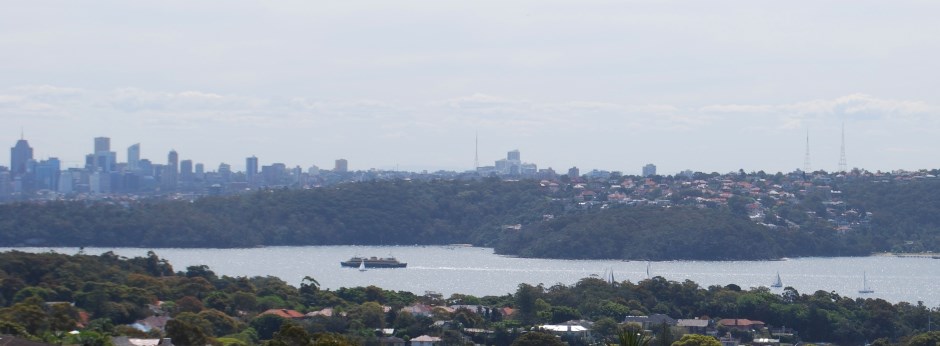 Manly Ferry on its way back to the City, View from South Head