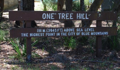 One Tree Hill, Mount Victoria