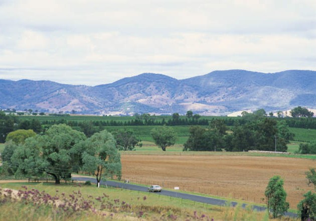 Sampling Mudgee wines in the countryside can be a relaxing way to spend an afternoon.