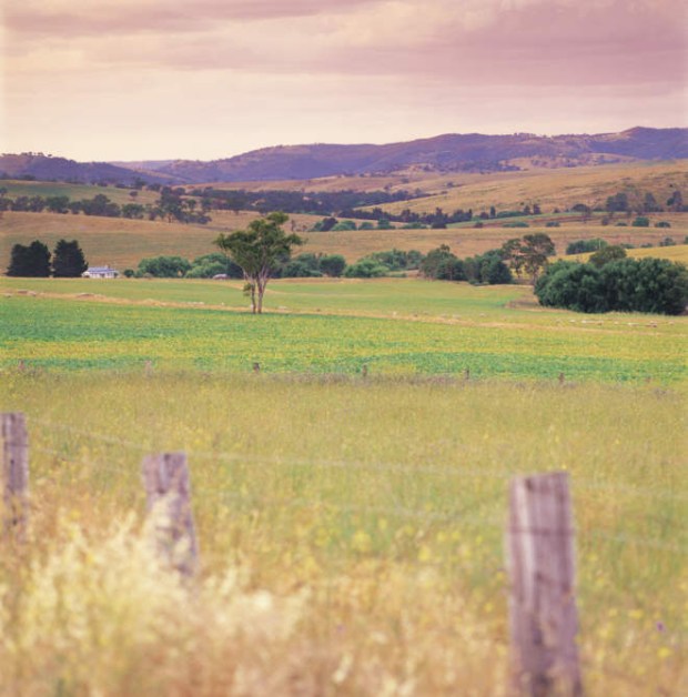 Near Bathurst, country views, NSW
