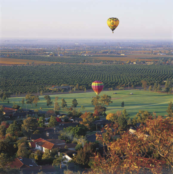 Riverina Hot Air Ballooning over vineyards, Griffith
