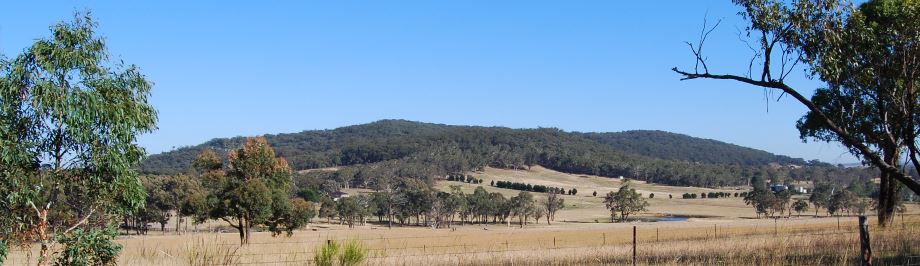 In the Surrounds of Oberon, NSW