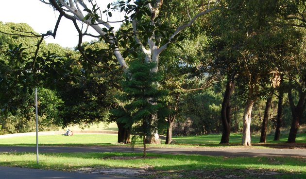 The Park covers more than 220 hectares of lush Greenery