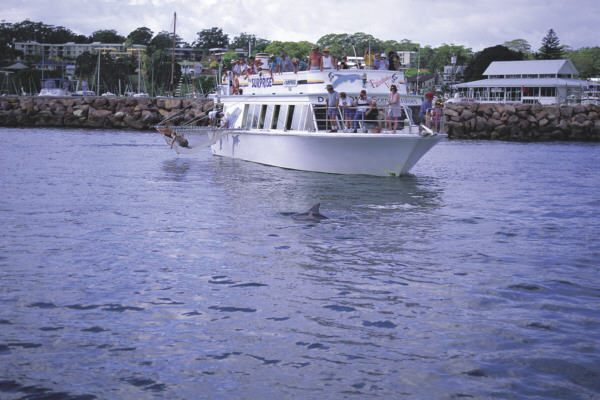 Dolphin and Whale Watching Cruises