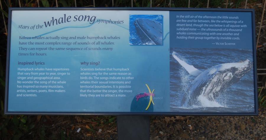 This sign at Warden Head, Shoalhaven, tells about the songs of Whales seen here during their Season