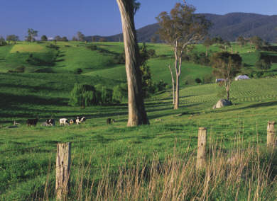Farmlands on the South Coast of NSW