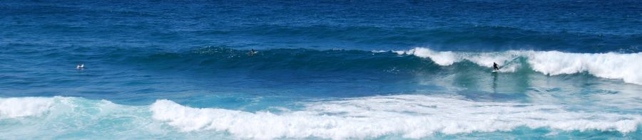 Glorious South Bondi has Surf