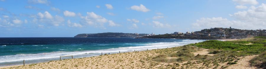 Curl Curl Beach, backed by dunes and views all the way to North Head (Manly)
