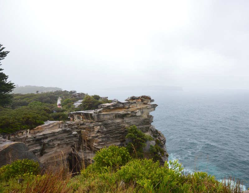 On the South Head Heritage Walk, there is dramatic scenery of both the ocean and Sydney Harbour