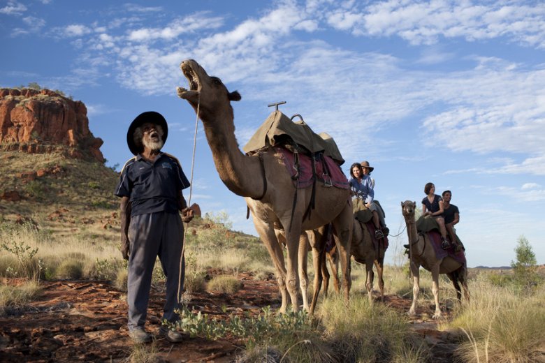 Harry Watson’s Camel Adventures - One of the many desert Australia Indigenous Experiences.