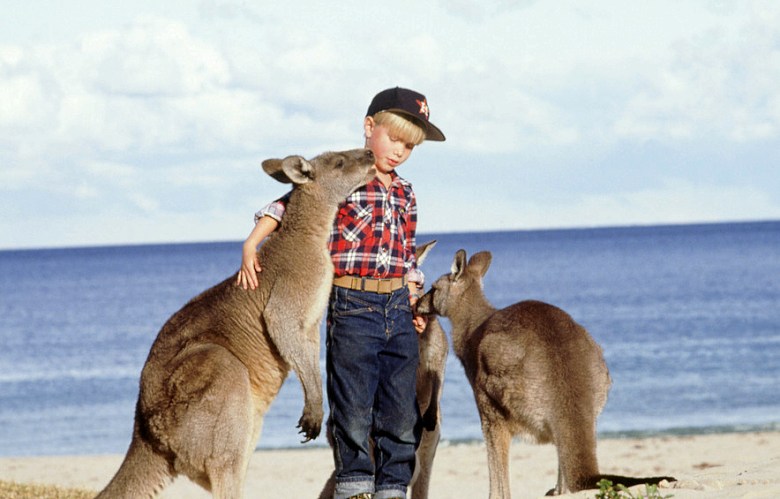 Getting up close with Kangaroos.