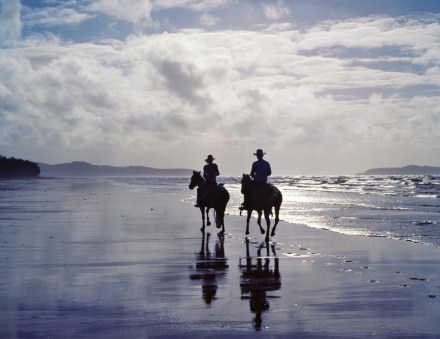 Wonga Beach Horse Rides Photo Tourism Australia Copyright