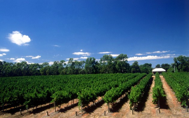 Fox Creek winery, McLaren Vale Winery, Adelaide Hills