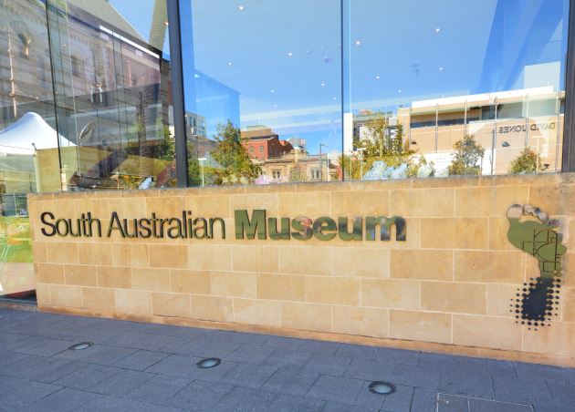 The Museum on North Terrace, Adelaide