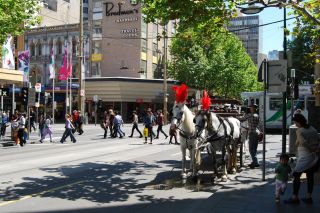 Horse Carriage Rides - Swanston Street