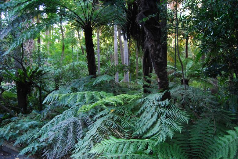 Botanic Heritage in Melbourne Australia