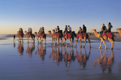 Camel Riding on Cable Beach, Broome W Australia