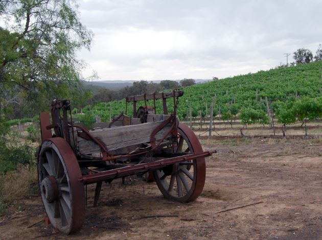 Canberra Wine Region