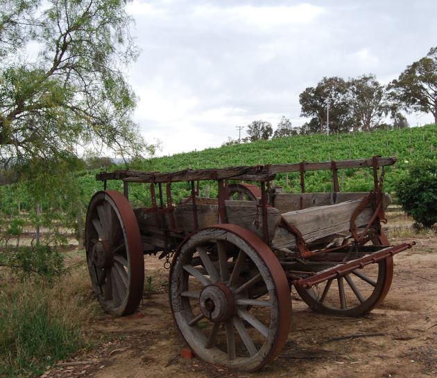 History of Australian Wines date from the Beginning of the Country
